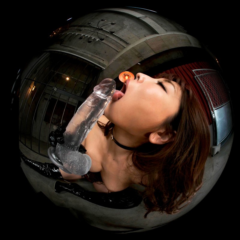 サンプル画像 10