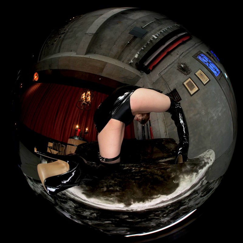 サンプル画像 6