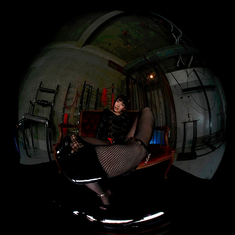 サンプル画像 8