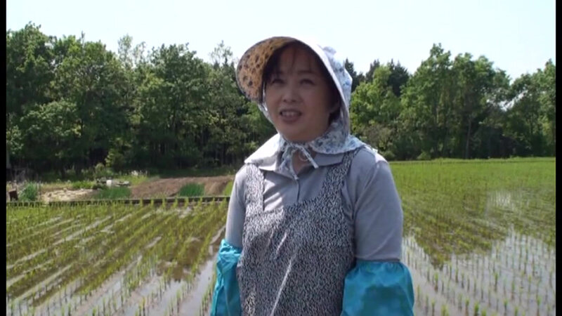 サンプル画像 11