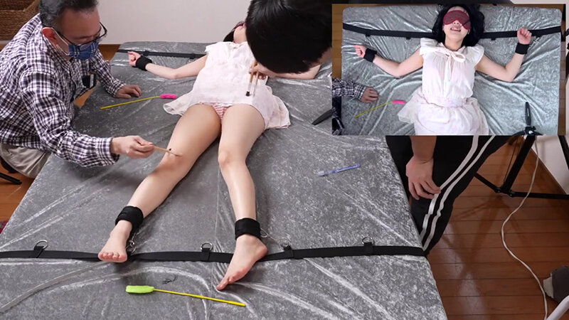 サンプル画像 3