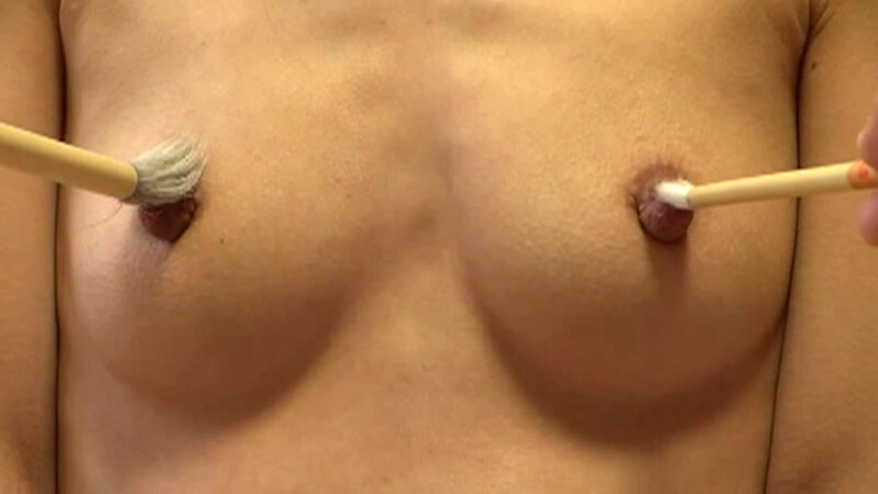 サンプル画像 15