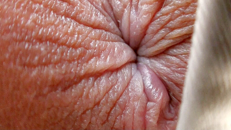 サンプル画像 11