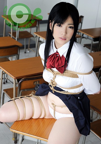 サンプルプレビュー