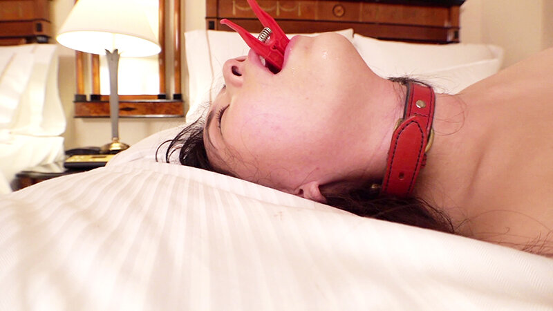 サンプル画像 13