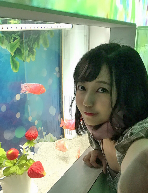 サンプル画像 3