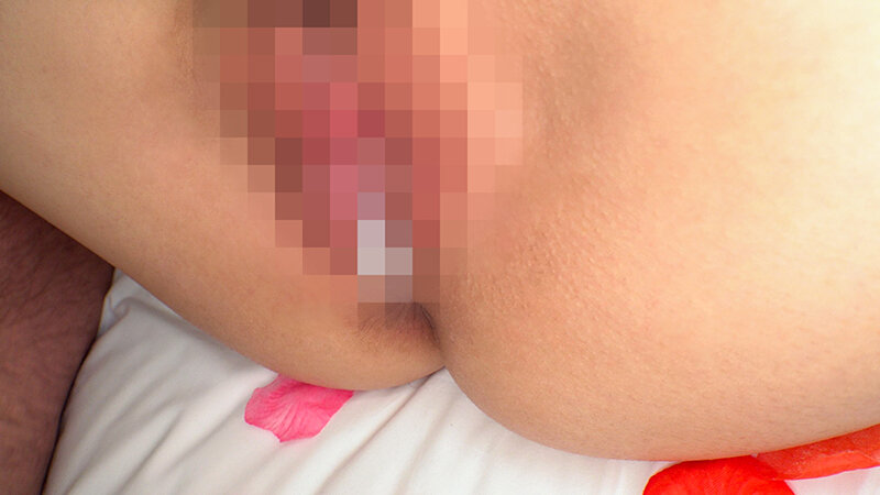 サンプル画像 15