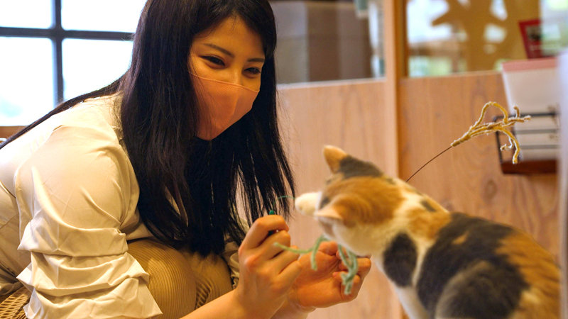 サンプル画像 5