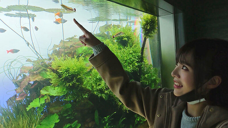 サンプル画像 3