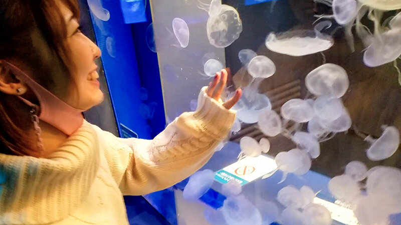 サンプル画像 3