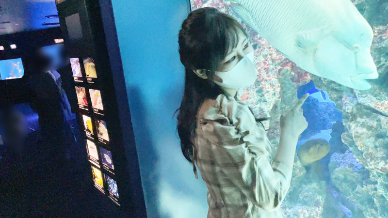 サンプル画像 2