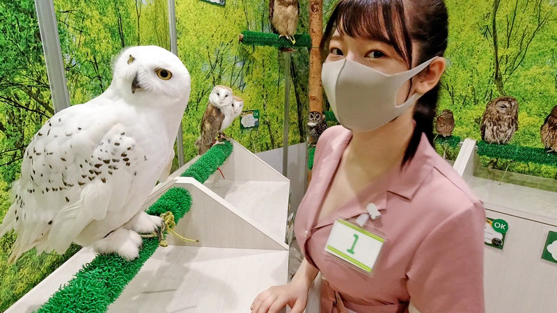 サンプル画像 2