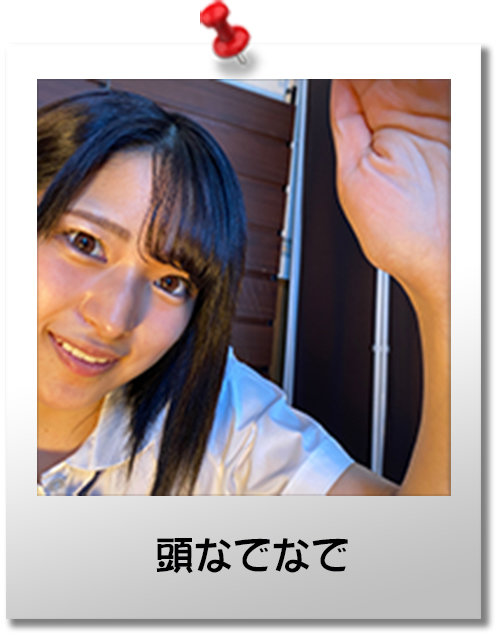 サンプル画像 3