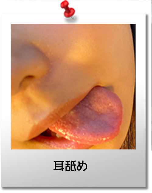 サンプル画像 5