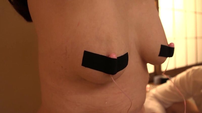 サンプル画像 5