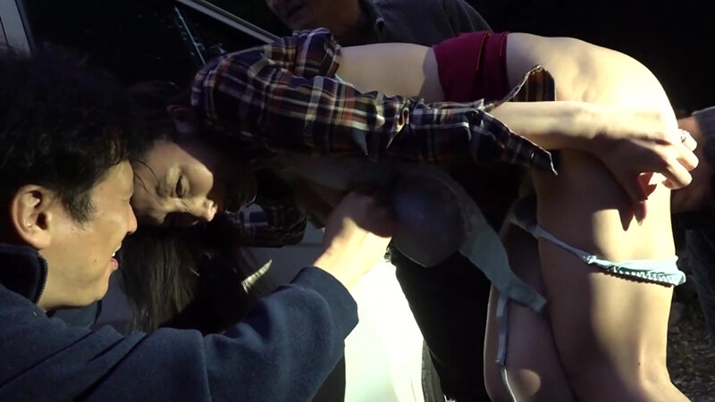 サンプル画像 5