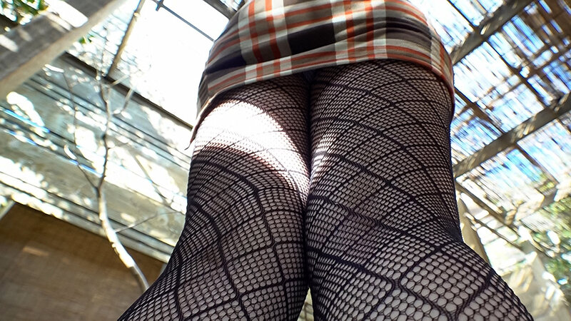 サンプル画像 9