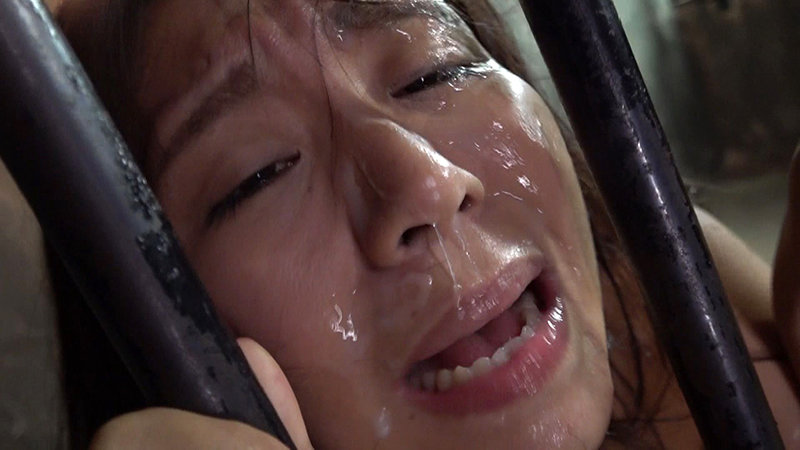 サンプル画像 10