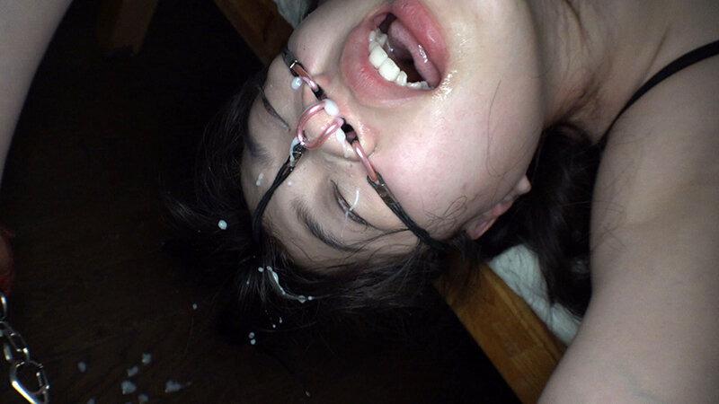 サンプル画像 11