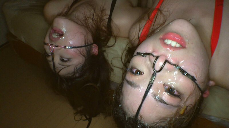 サンプル画像 11