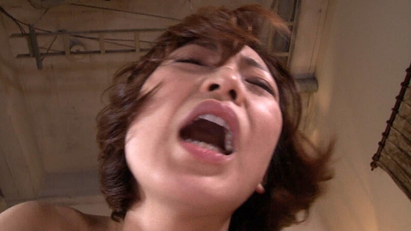 サンプル画像 7