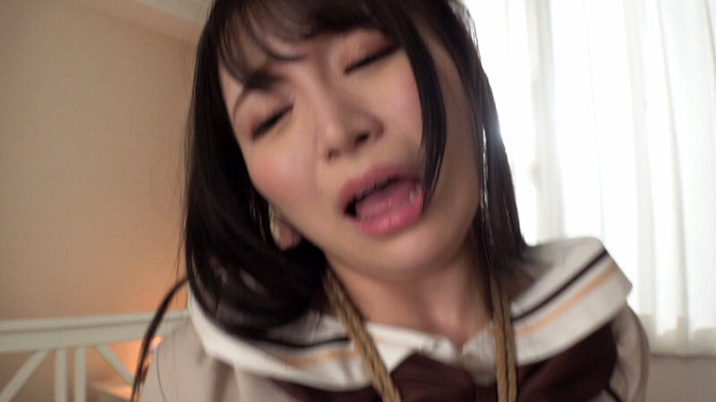 サンプル画像 5