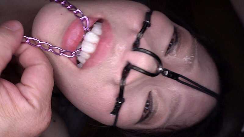 サンプル画像 11