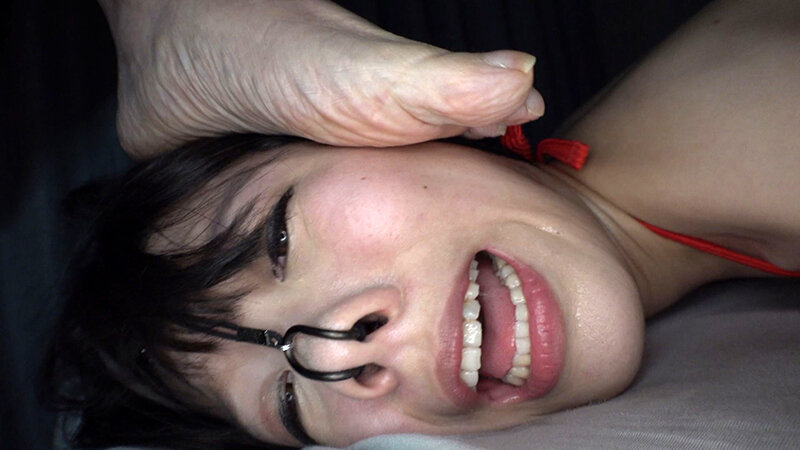 サンプル画像 6