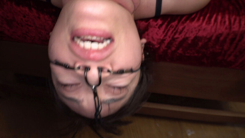 サンプル画像 10