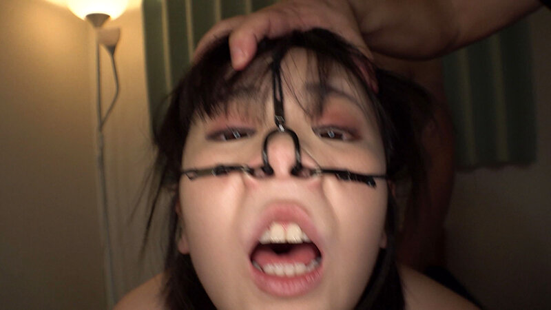 サンプル画像 5