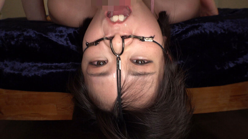 サンプル画像 8