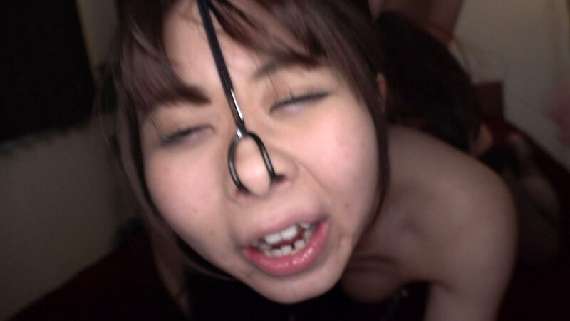 サンプル画像 6