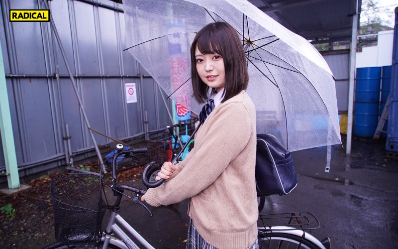 サンプル画像 3