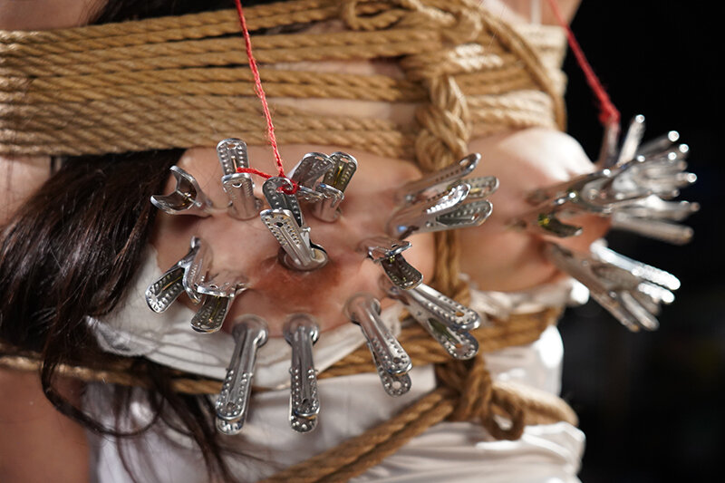 サンプル画像 8