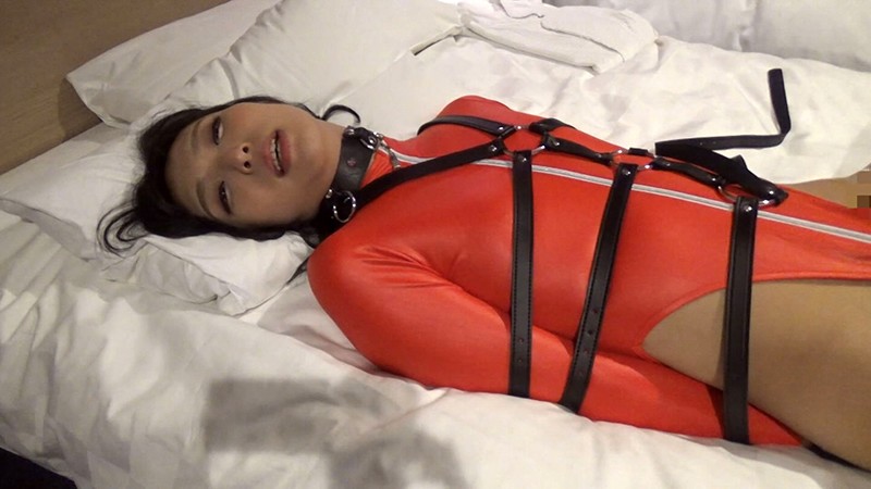 サンプル画像 9