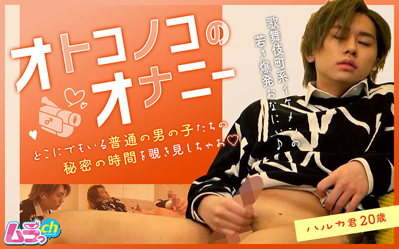 サンプルプレビュー