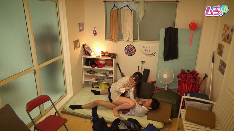 サンプル画像 14