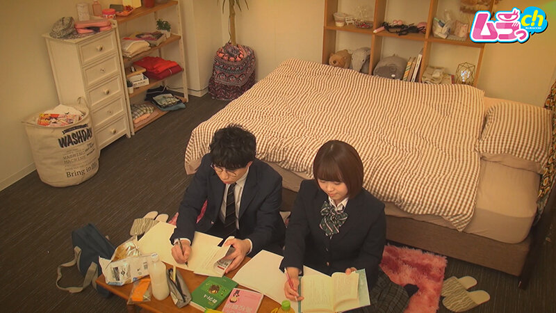 サンプル画像 3