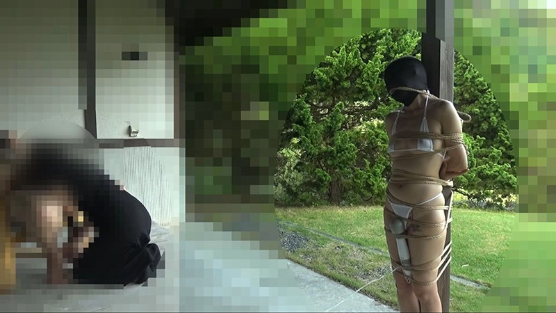 サンプル画像 9