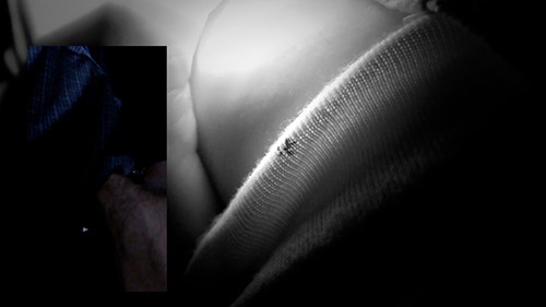 サンプル画像 6