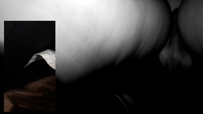 サンプル画像 11