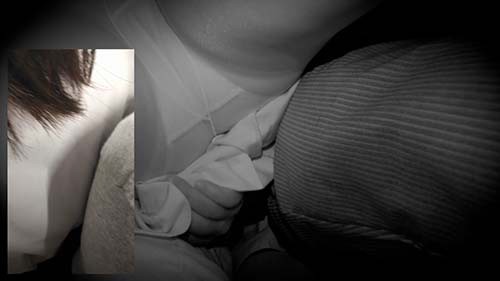 サンプル画像 3