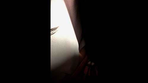 サンプル画像 8