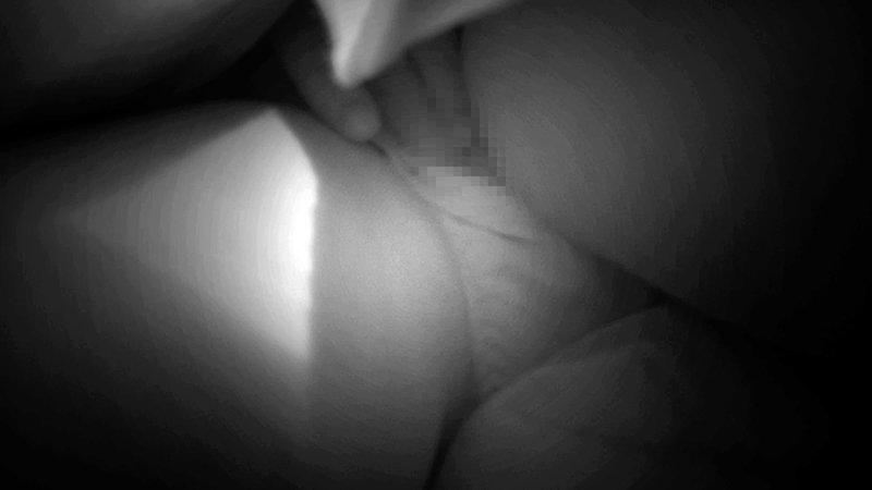 サンプル画像 8