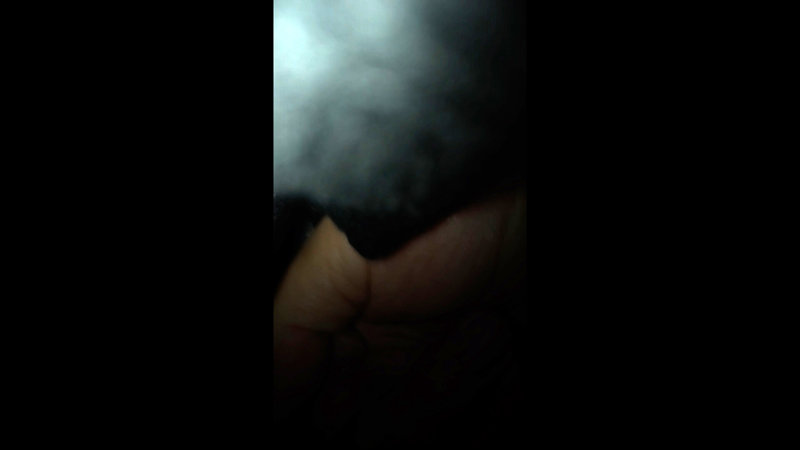 サンプル画像 16