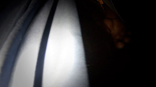 サンプル画像 5