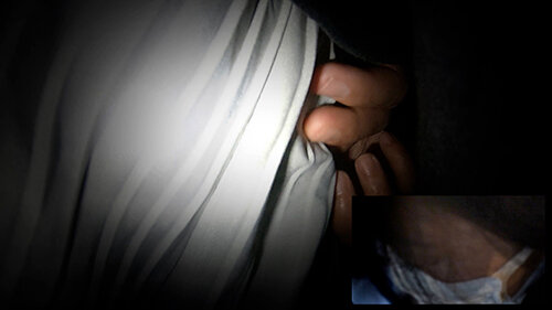 サンプル画像 11