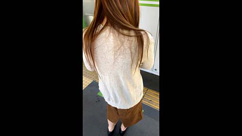 サンプル画像 3