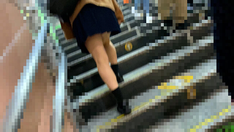 サンプル画像 5