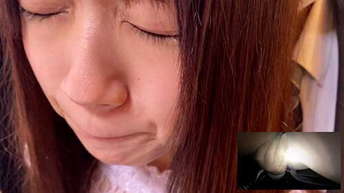 サンプル画像 15